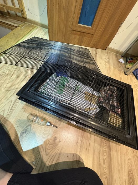 Klatka dla szczurów szynszyla