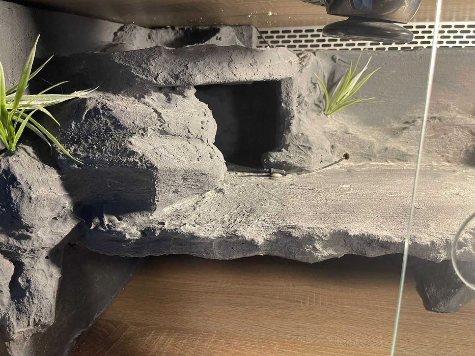 Terrarium 90x45x50