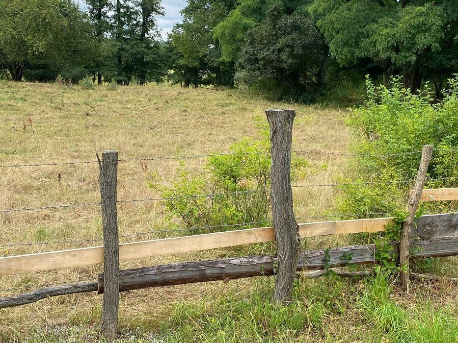 Działka rolna 5ha gmina Leoncin otulina KPN Kampinos oraz Wisły