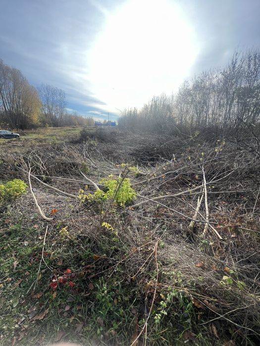 Drewno opalowe zrebki