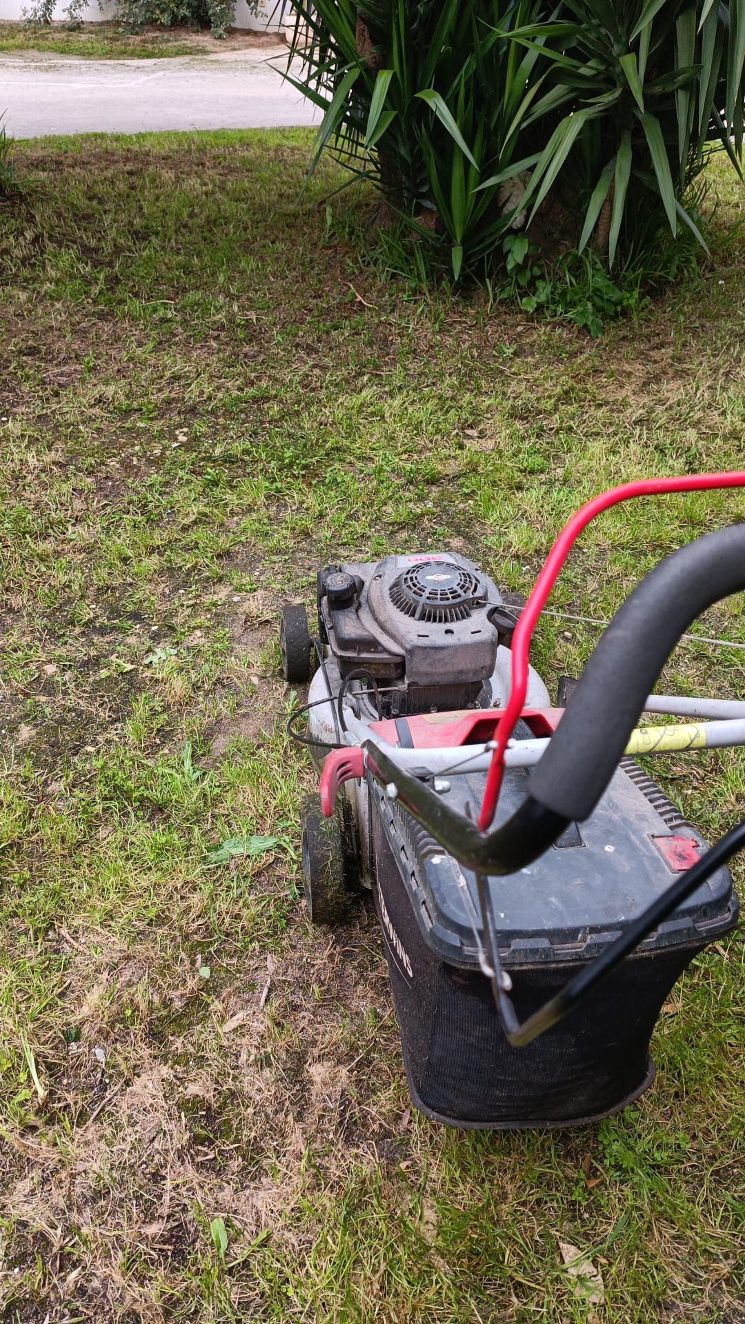 Limpeza e manutenção de terrenos e jardins