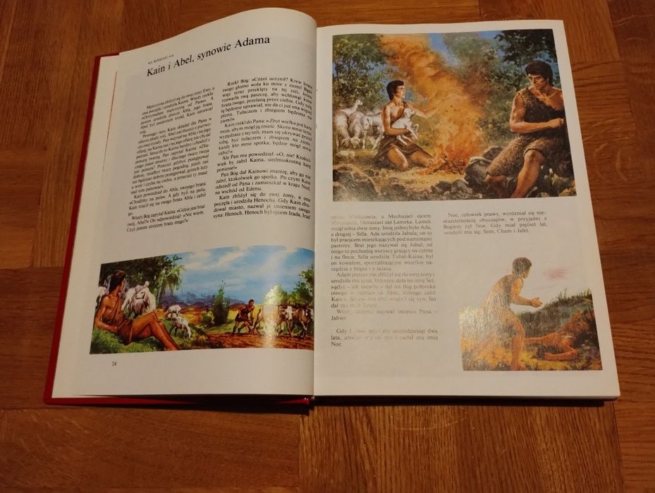 Ilustrowana biblia młodych