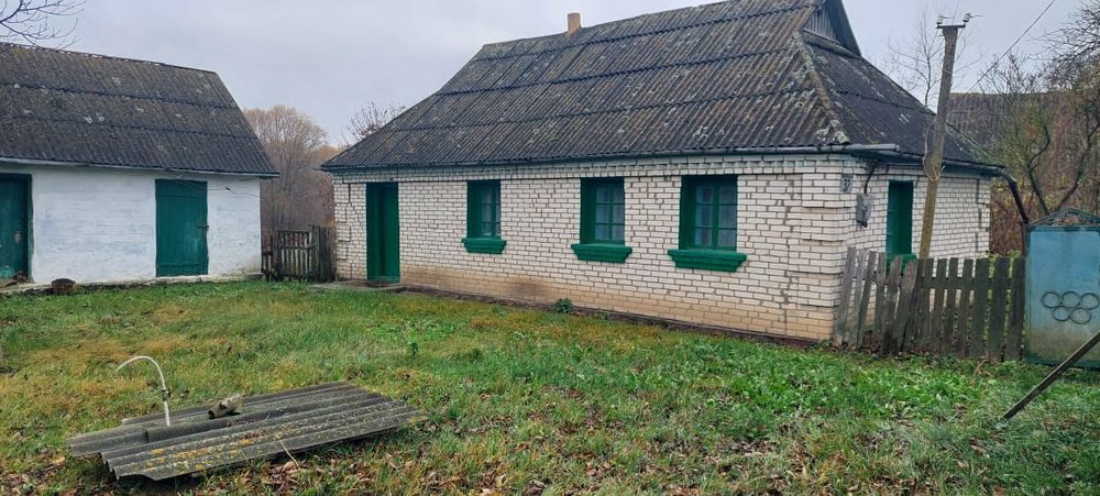 Приватний будинок