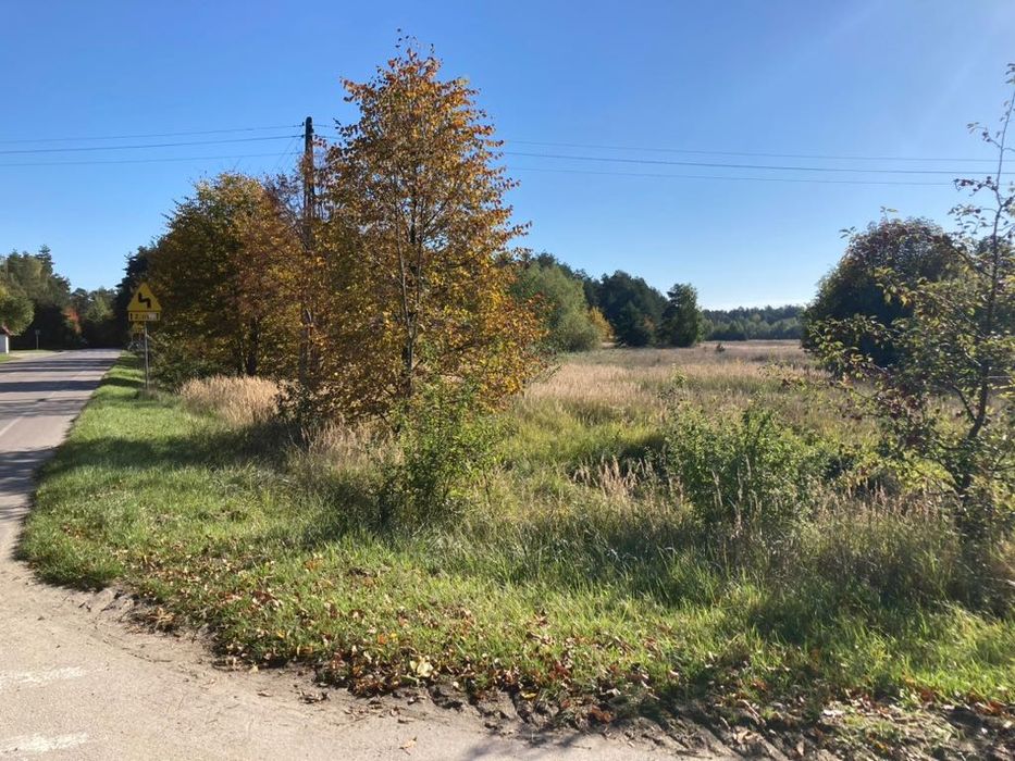 Działka 1,28 ha z częścią budowlaną i lasem • Rabinówka