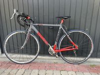 Rower szosowy Focus Mares – lekki, szybki i gotowy do jazdy!