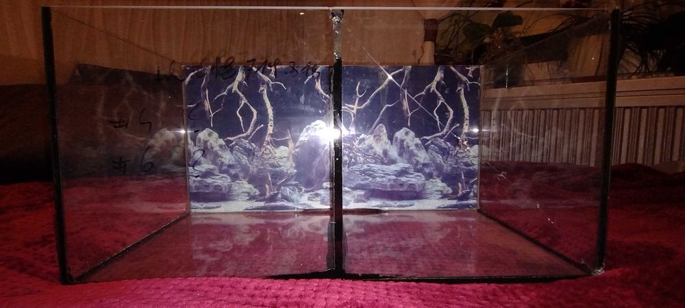 Akwarium terrarium dla pająków, ślimaków żabek mrówek