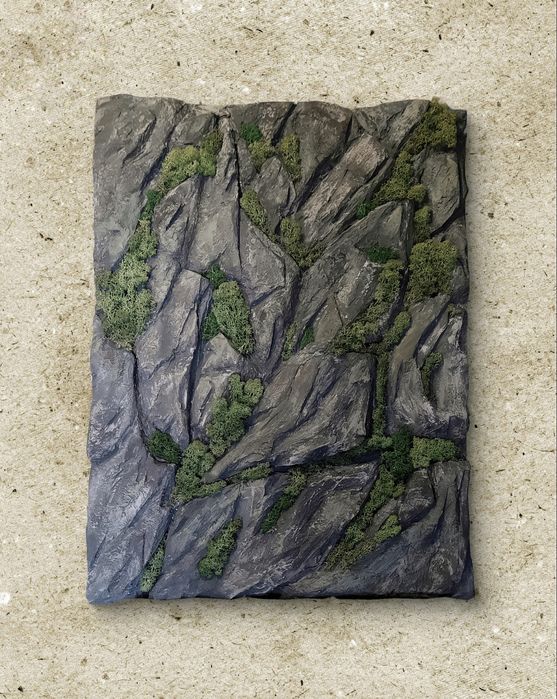 Картина интерьерная скала, мох, горы.