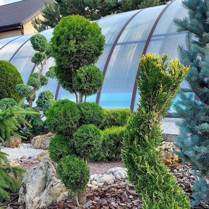 Обрезка сада, формирование деревьев, Обработка от вредителей