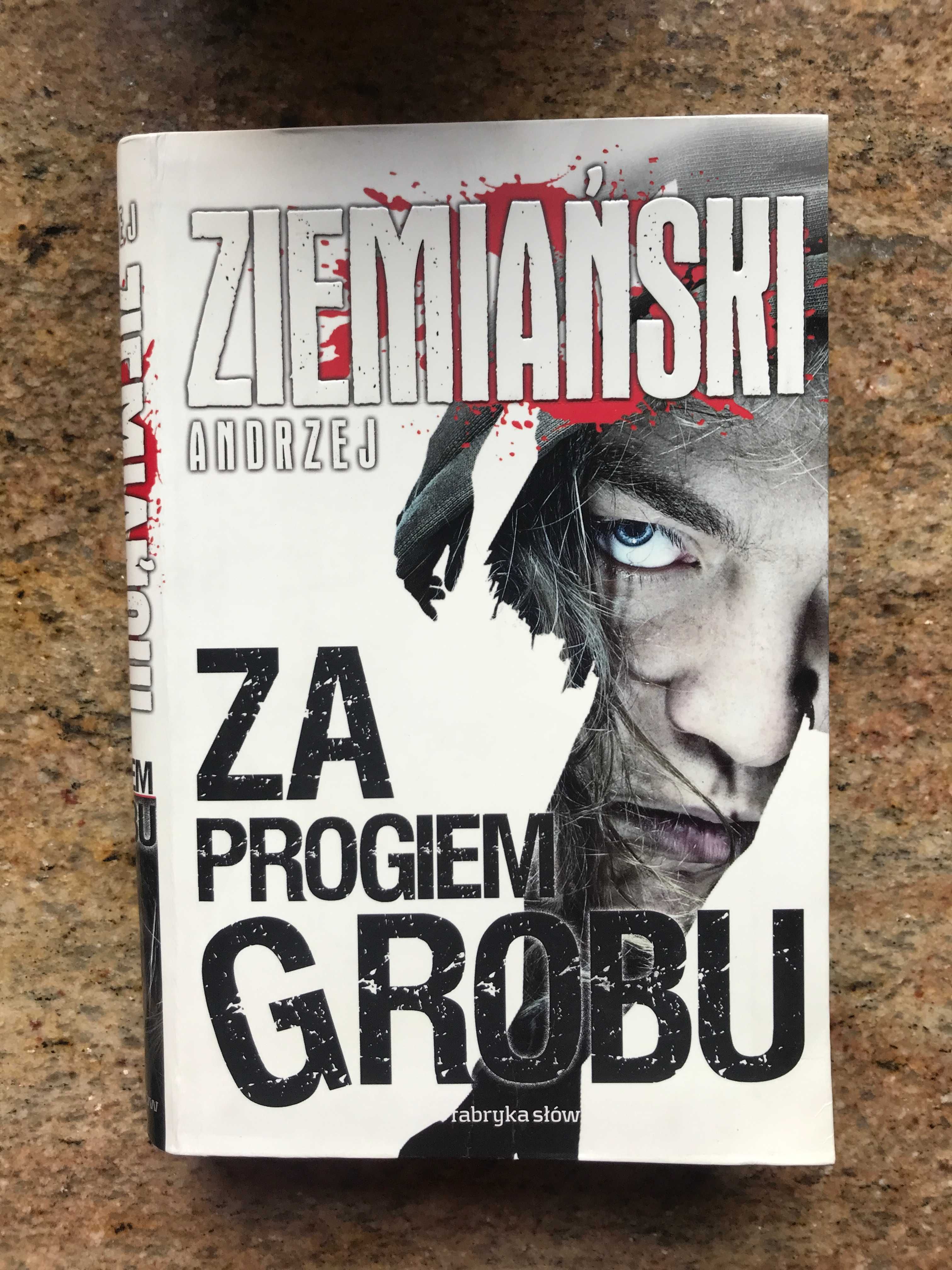 Za progiem grobu Andrzej Ziemiański