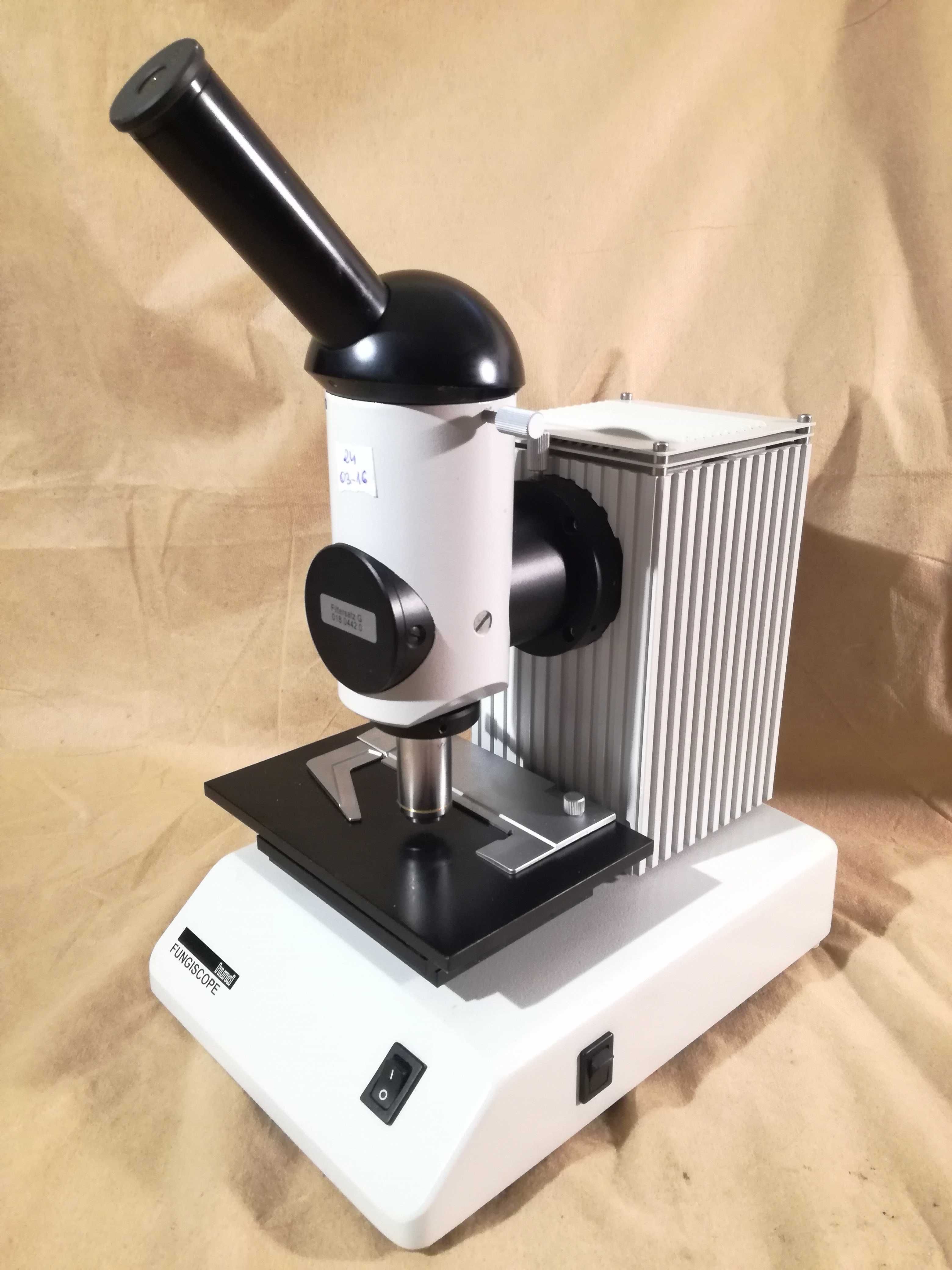 Hund Fungiscope Leica fluorescencja mikroskop grzyby pzo