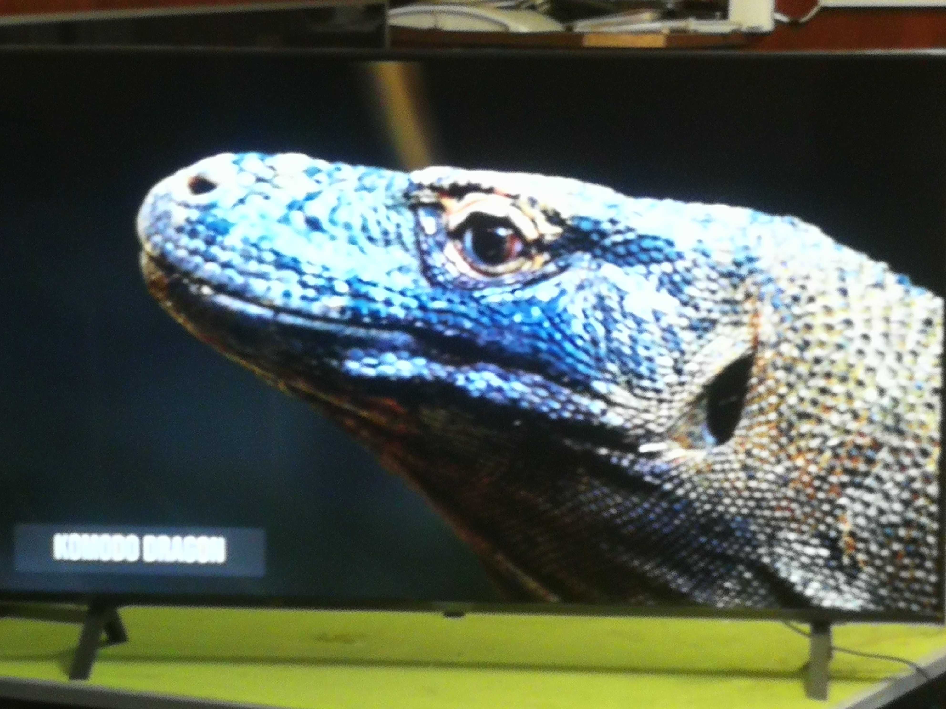 Telewizor LG 55 cali 4K UHD, system webos, Super Stan