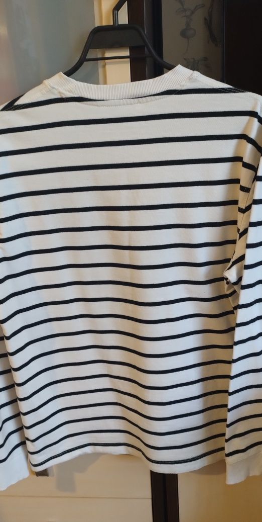 Bluza męska paski Zara