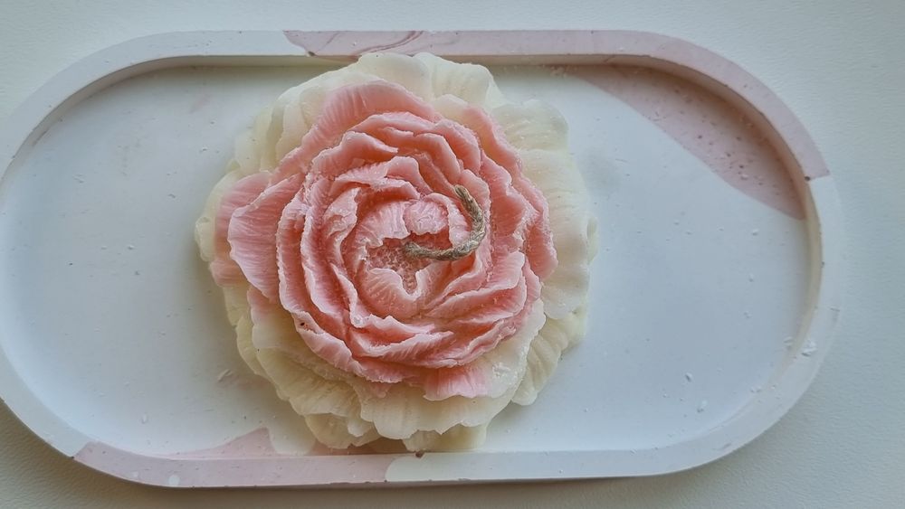 Ніжна свічка-повінія в гіпсовому кашпо