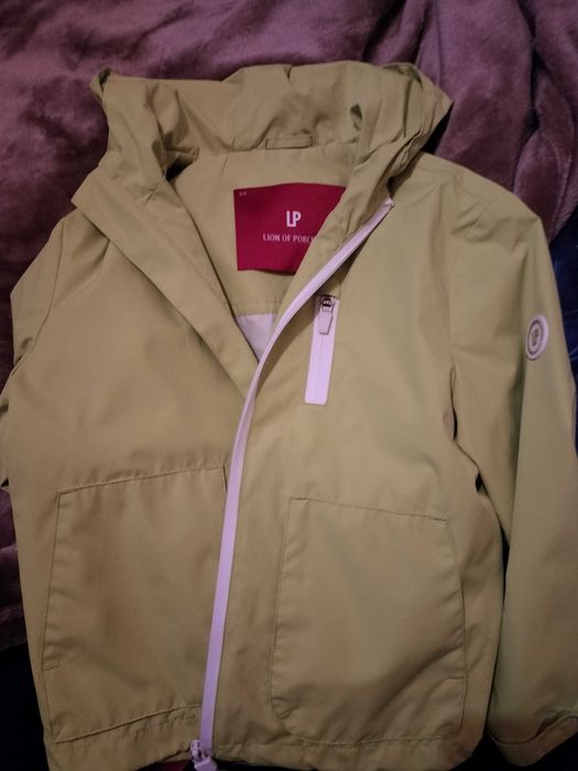 Casaco Lion of Porsches