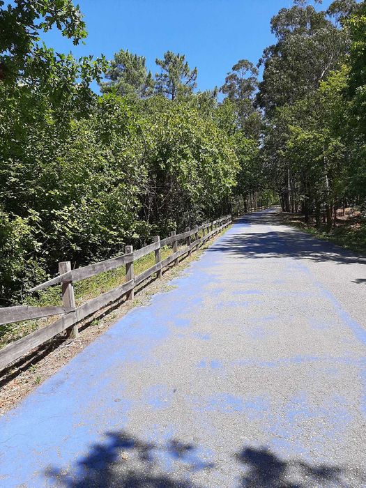 Terreno à venda, Santa Comba Dão, Ecopista do Dão 1