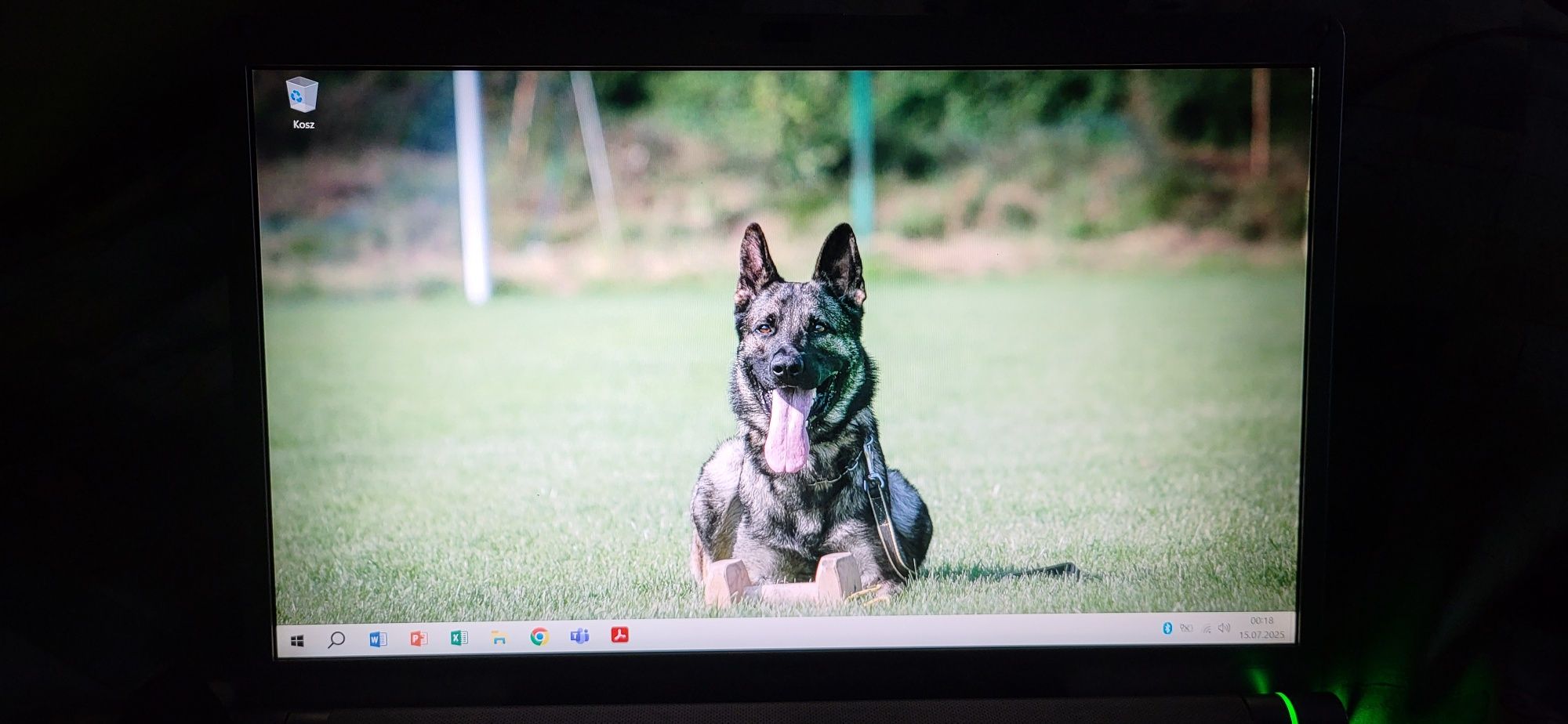 Laptop Sony Vaio PCG-3J1M Uszkodzona klawiatura, ekran, Win10