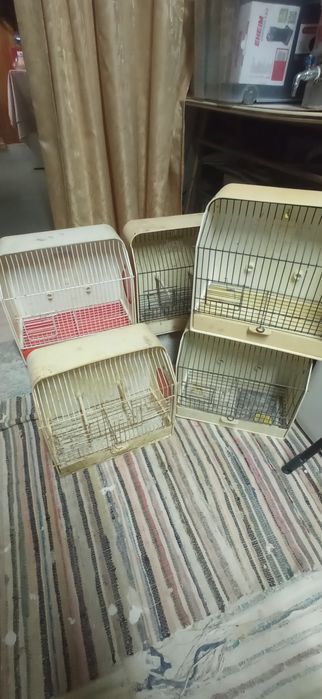 Gaiolas de exposição