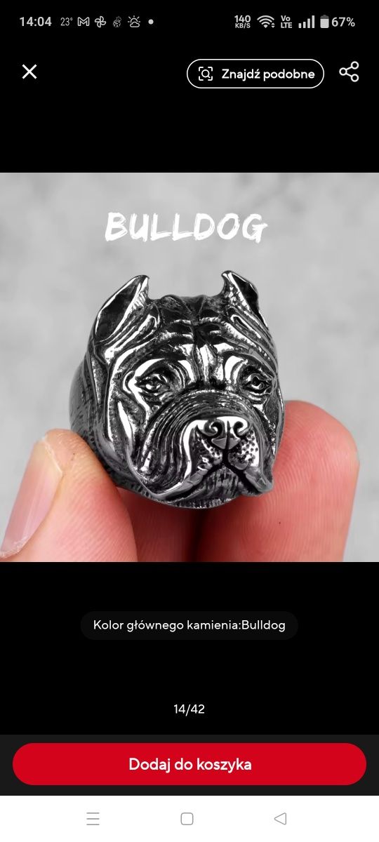 Sygnet buldog model srebrny