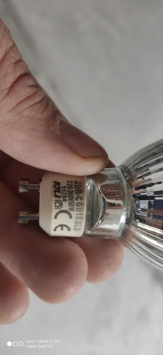 Lampadas focus