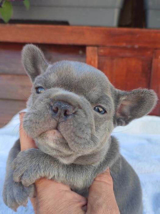 Очаровательные два мальчика