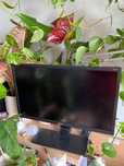 Monitor Benq  20ʼ