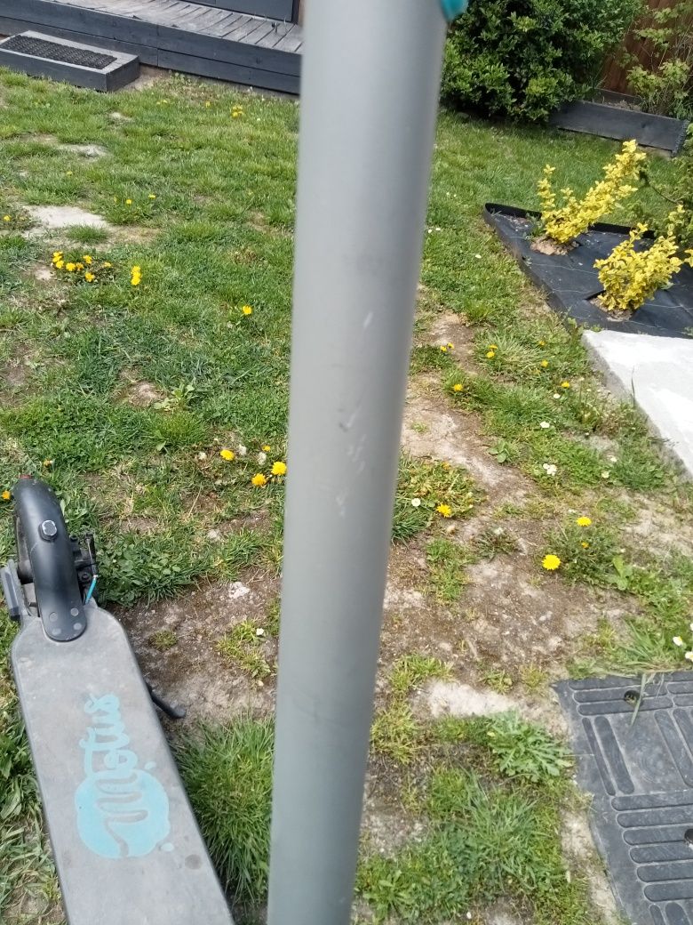 Motus Scooty 10 Lite – hulajnoga elektryczna | szaro-niebieska | 350W