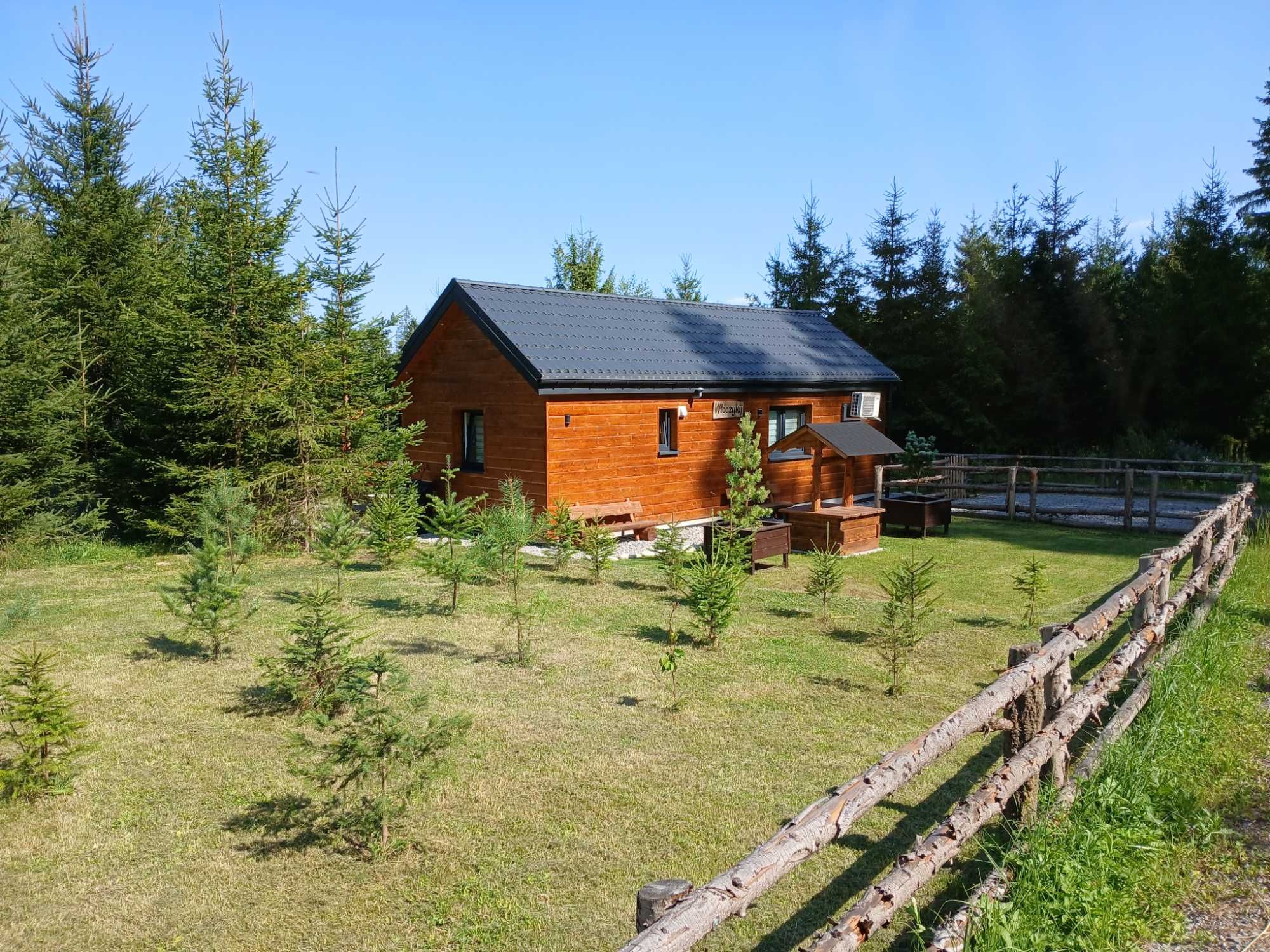 Wolne od 16 sierpnia - Cisza, plac zabaw - domek WŁÓCZYKIJ