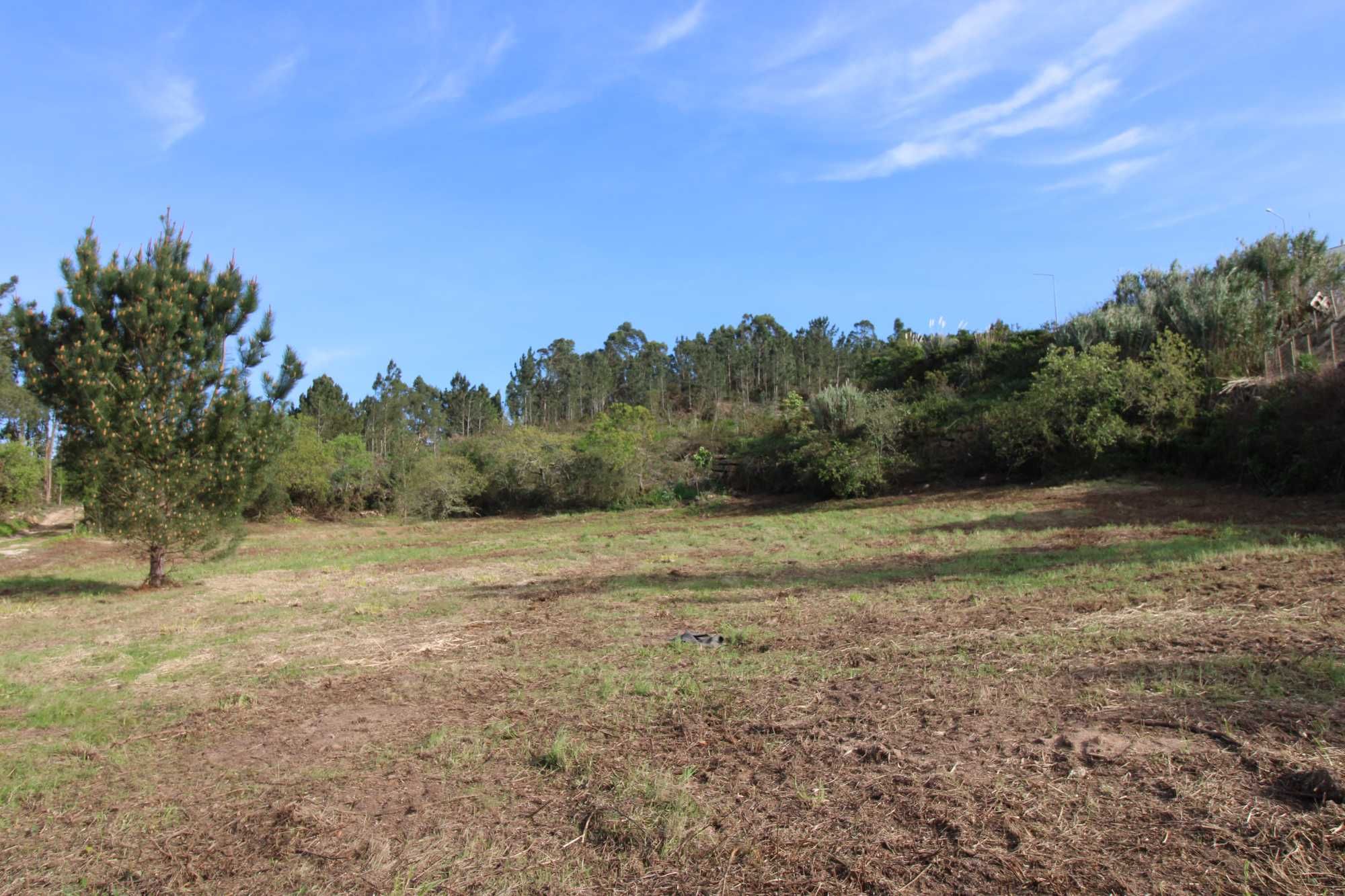 Terreno 5000m2 em solo urbano na Arrebenta/Mafra,