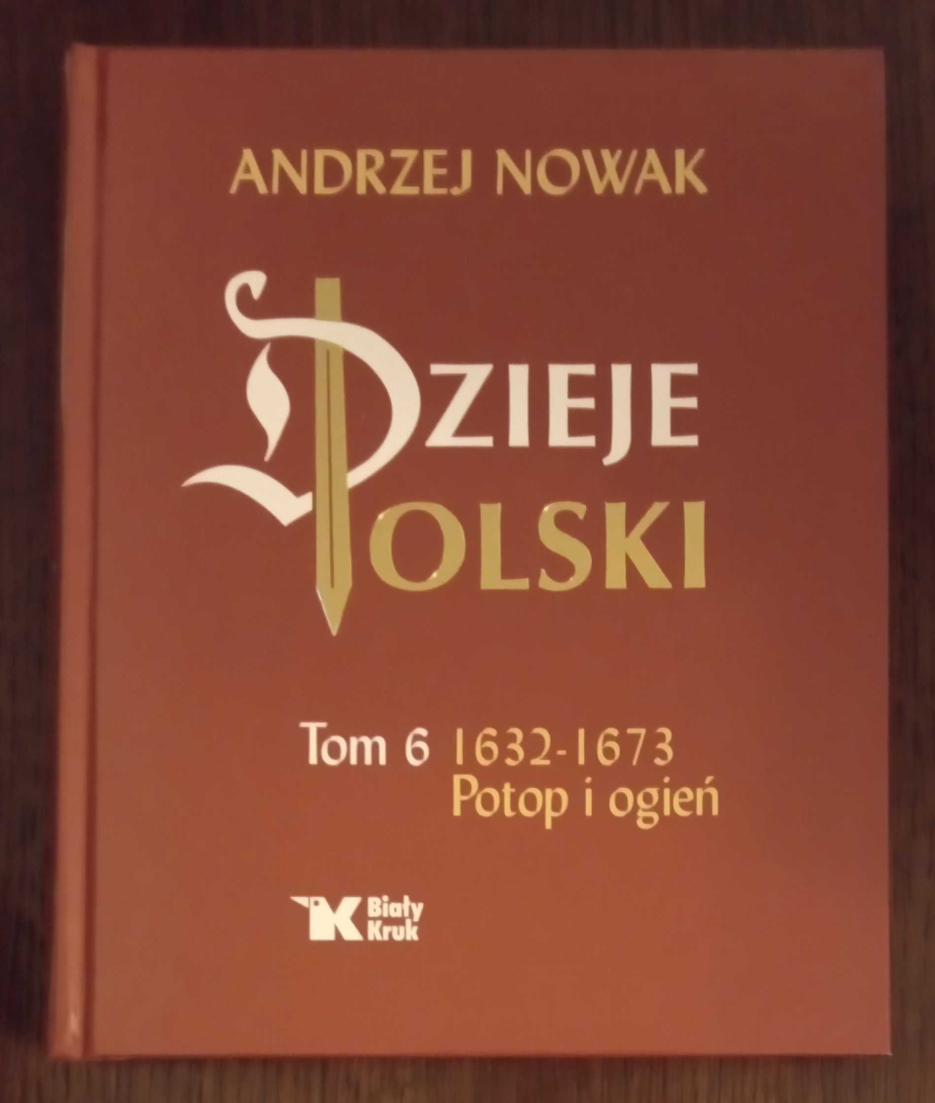 Dzieje Polski. Tom 6. Potop i ogień - Andrzej Nowak