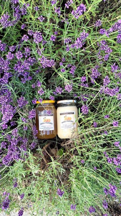 Miód pszczeli  PROSTO Z PASIEKI