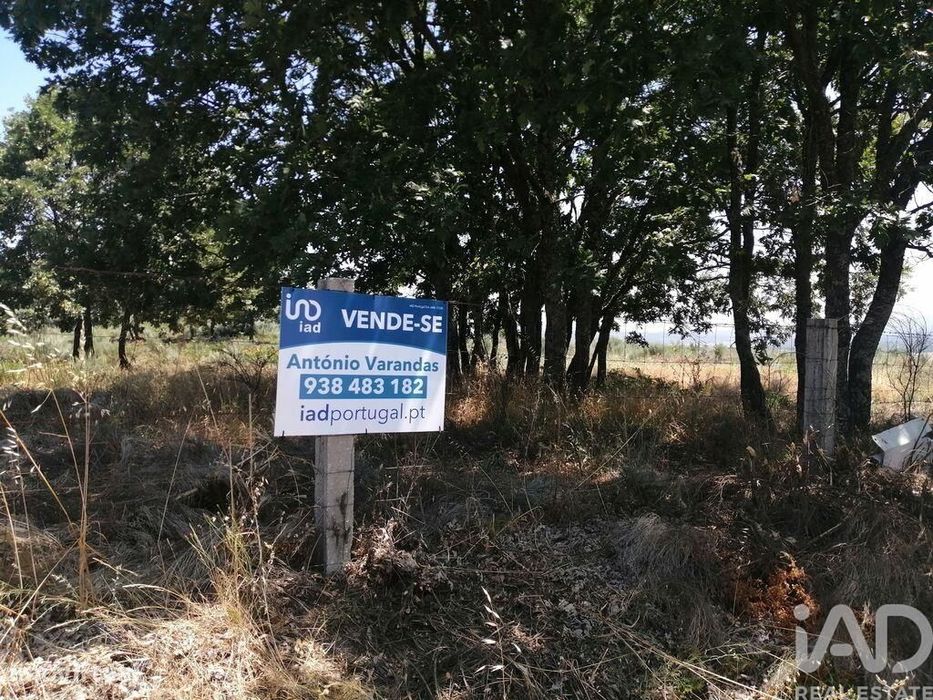 Terreno em Sabugal e Aldeia de Santo António de 56170,00 m2