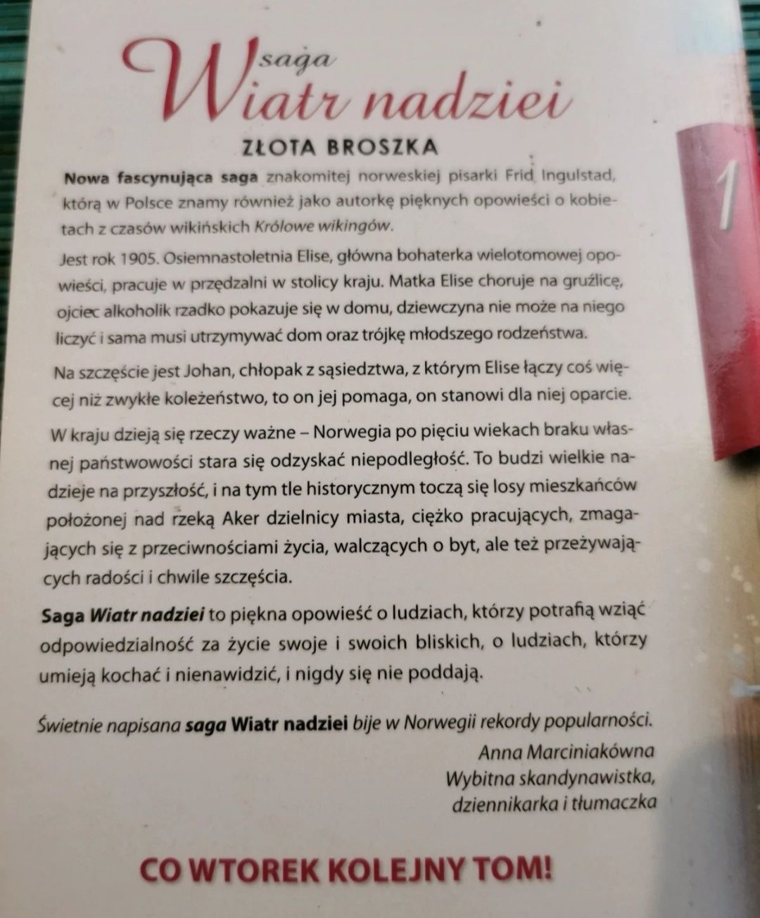 Wiatr nadziei złota broszka.