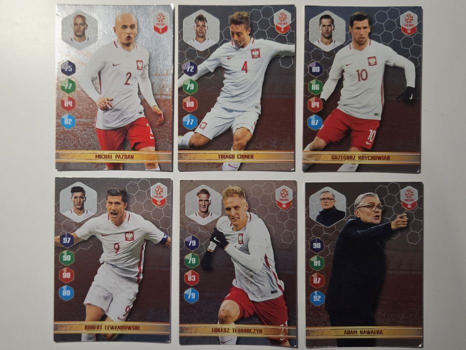 Karta Polska reprezentacja