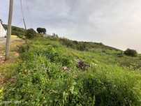 Lote de Terreno Urbano - 613m²  em Loures