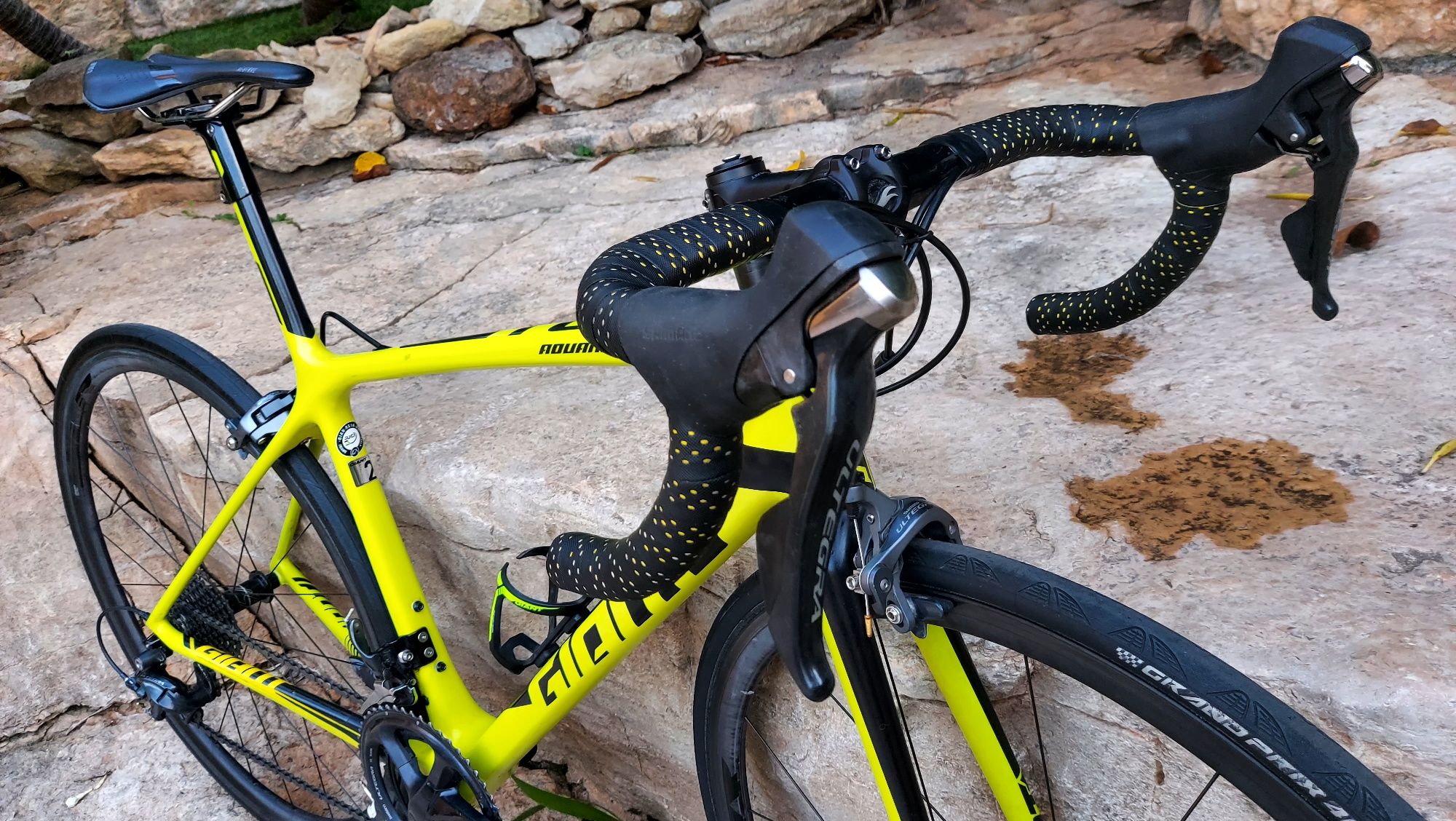 Giant TCR SL t52