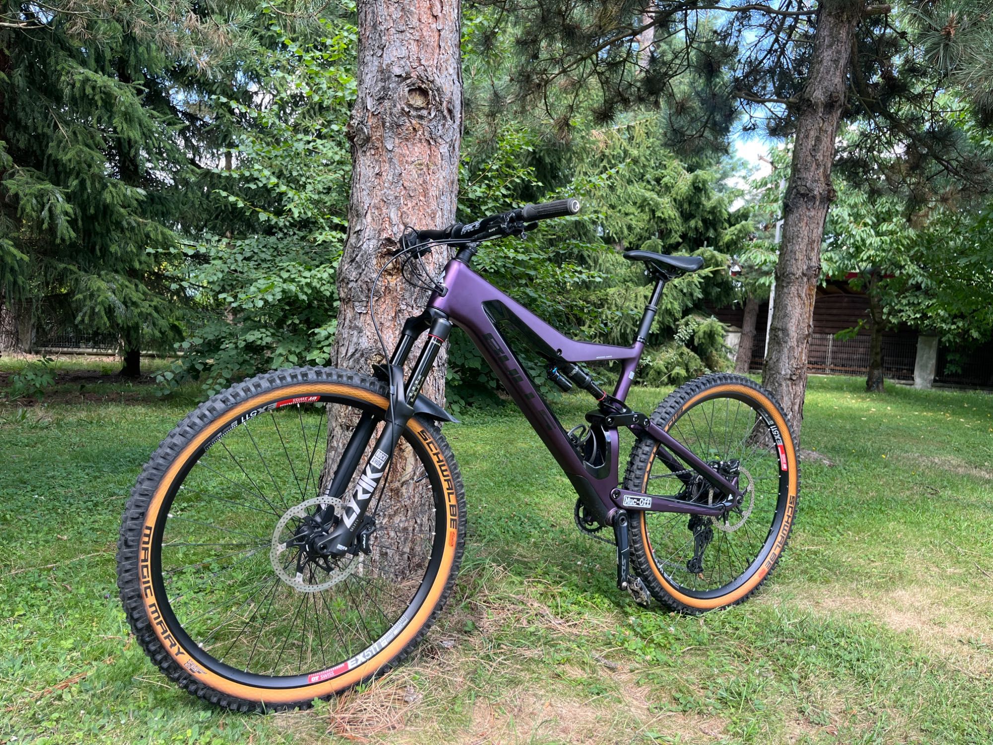 Bulls Wild creed RS XL 29”