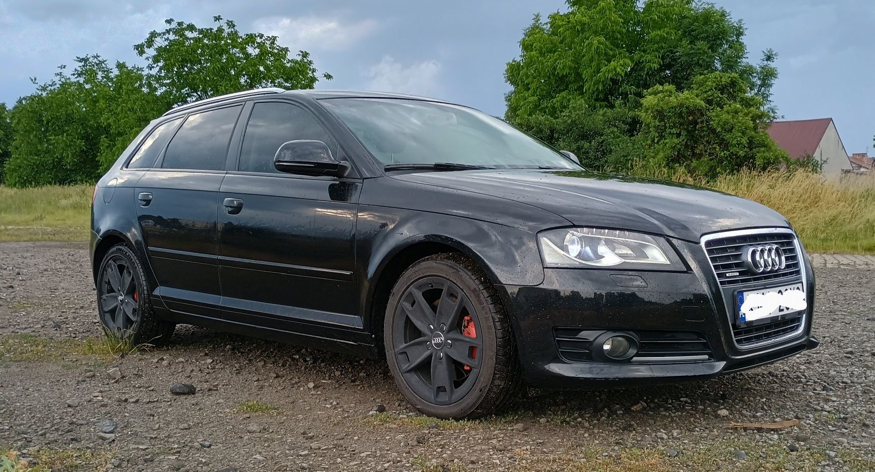 Audi A3 8P Quattro