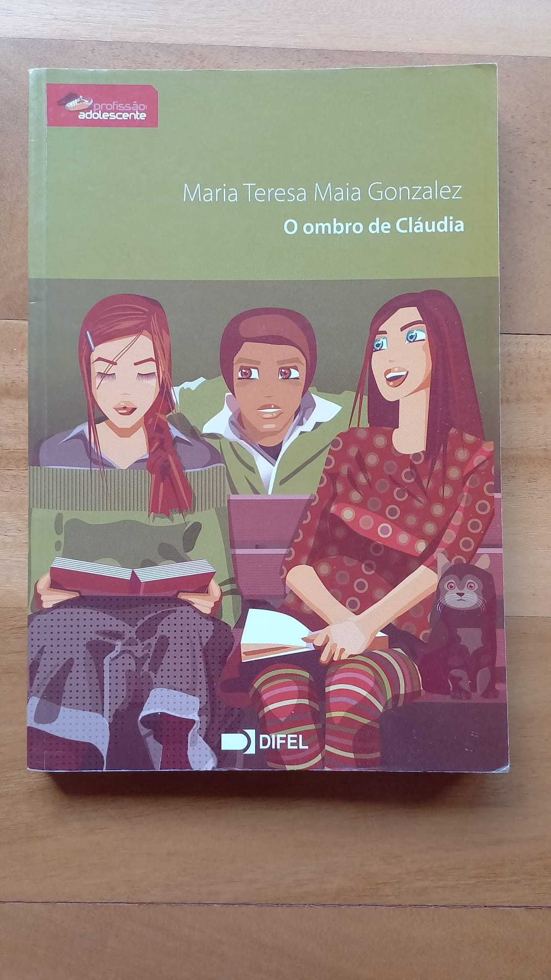 Livros Maria Teresa Maia Gonzalez - Profissão Adolescente