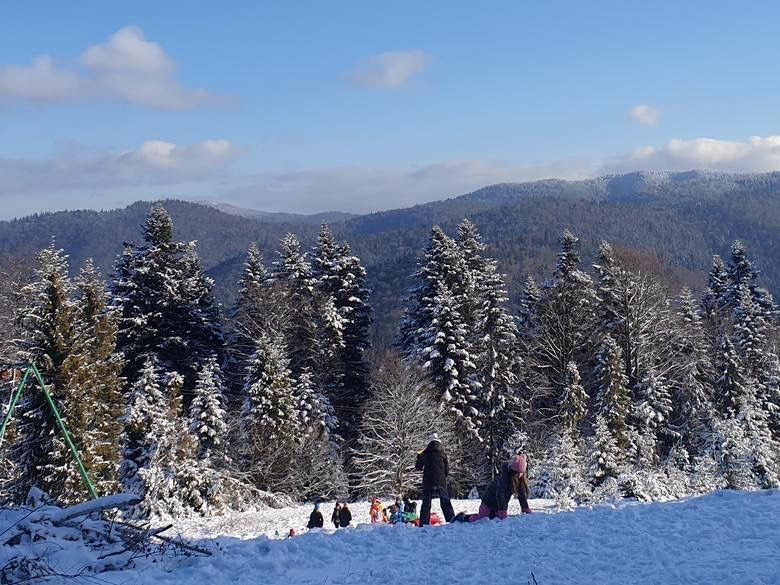 Wakacje. Domek w górach. Las, cisza. Termy Gorce, Turbacz.