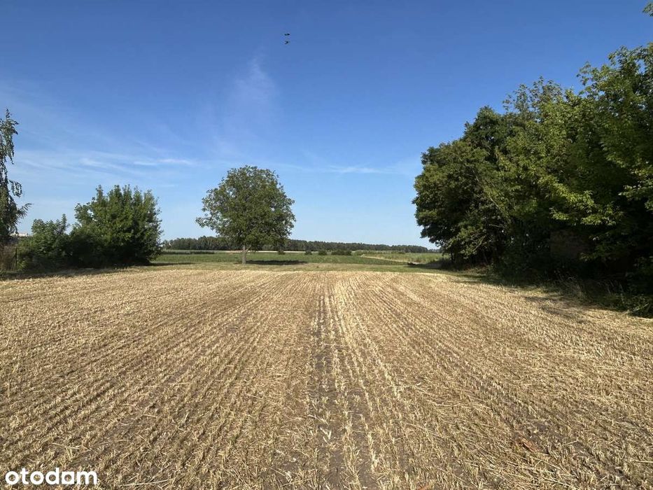 Działka budowlano-rolna w Goleńsku