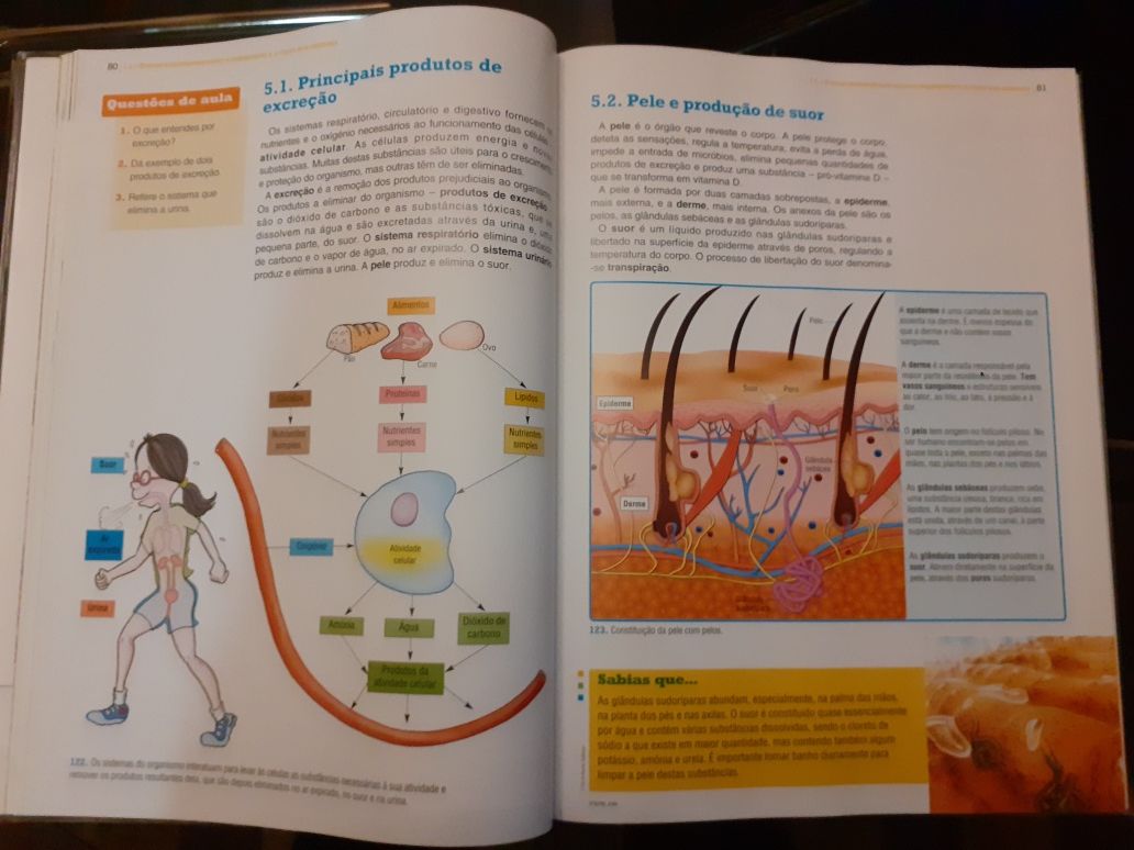 Caderno Atividades e manual VIVA A TERRA Ciências 5º