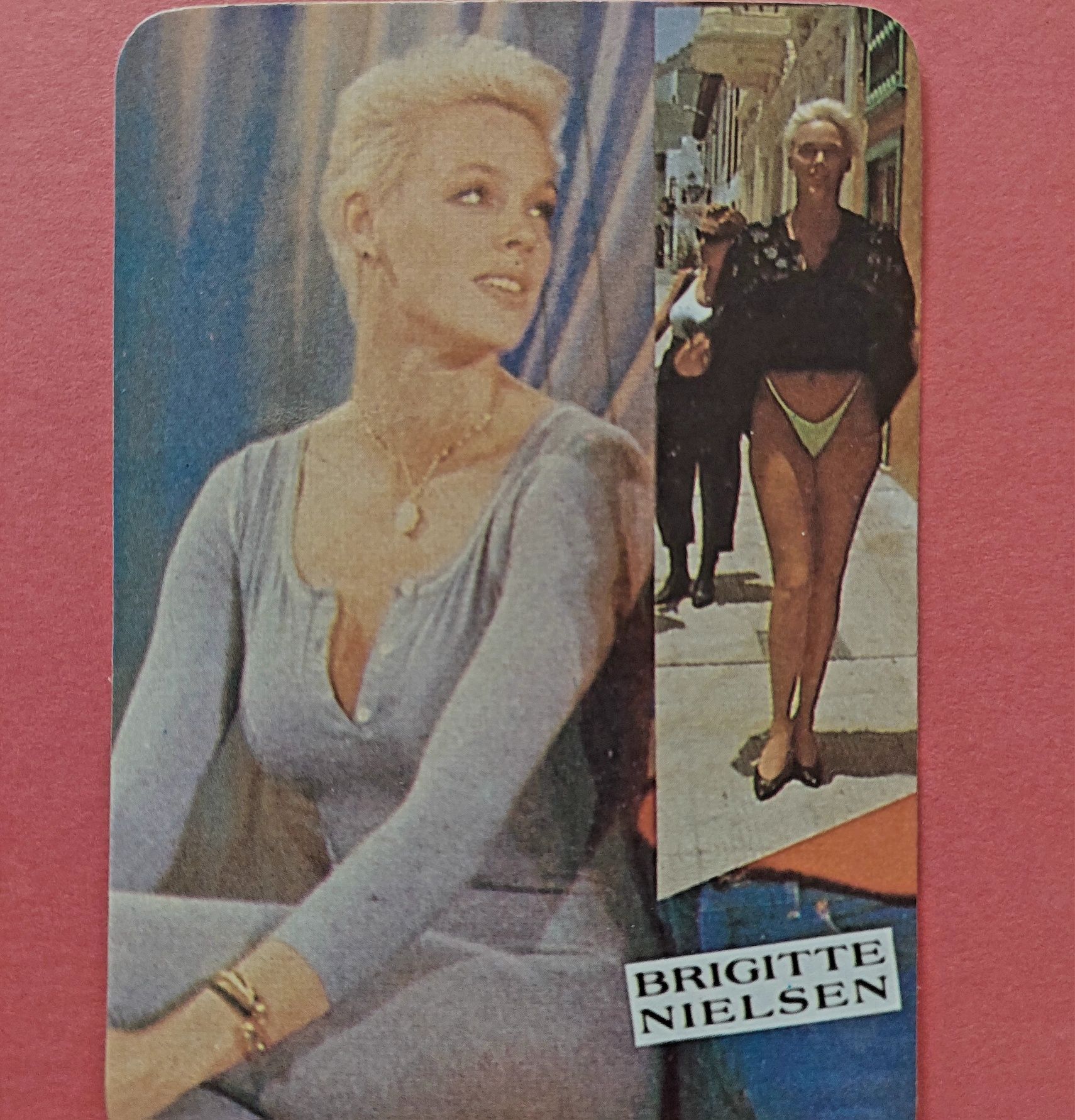 Brigitte Nielsen calendários de bolso