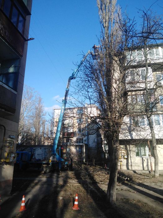 Обрезка деревьев любой сложности,автовышка,альпинисты,все аккуратно.