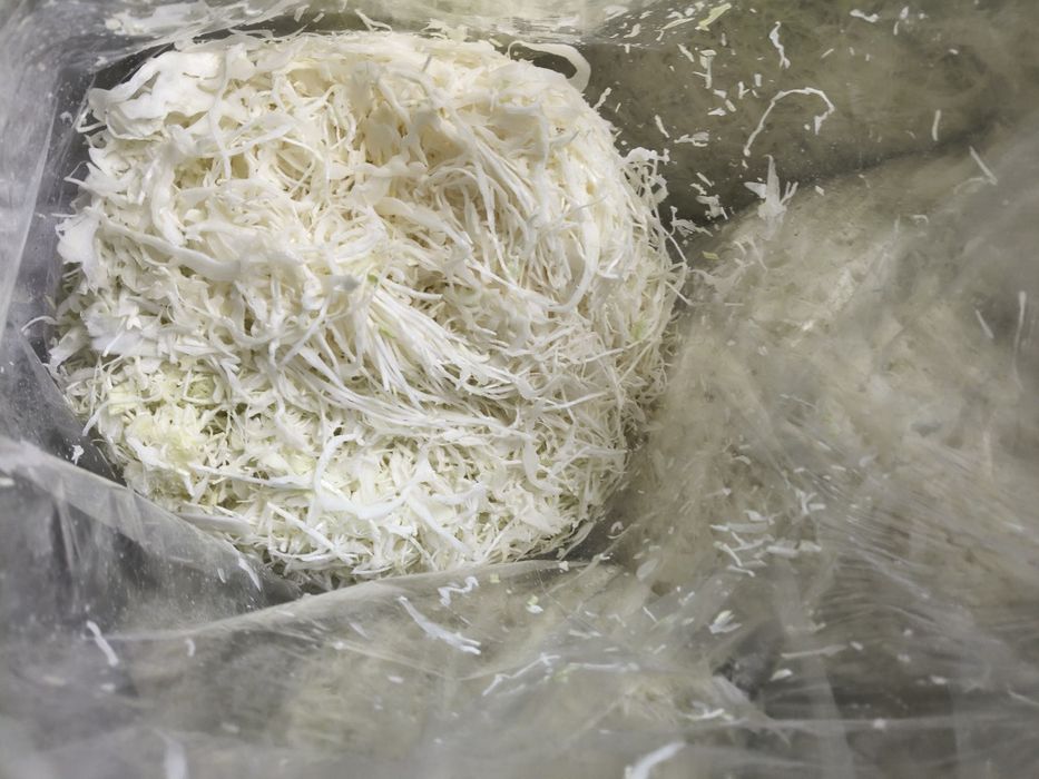 Kapusta szatkowana 1,5 zł /kg