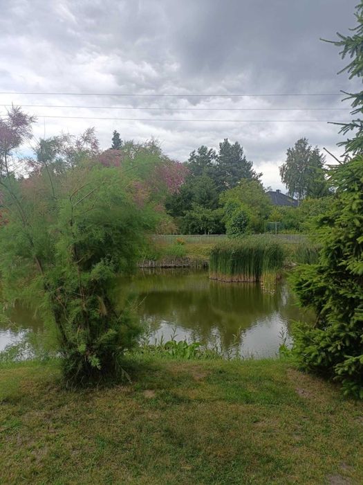 Działka rekreacyjna ROD ,,Wizun"