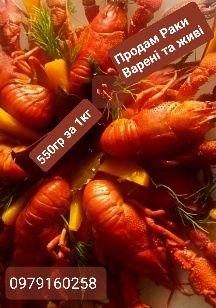 Раки свіжі живі та варені