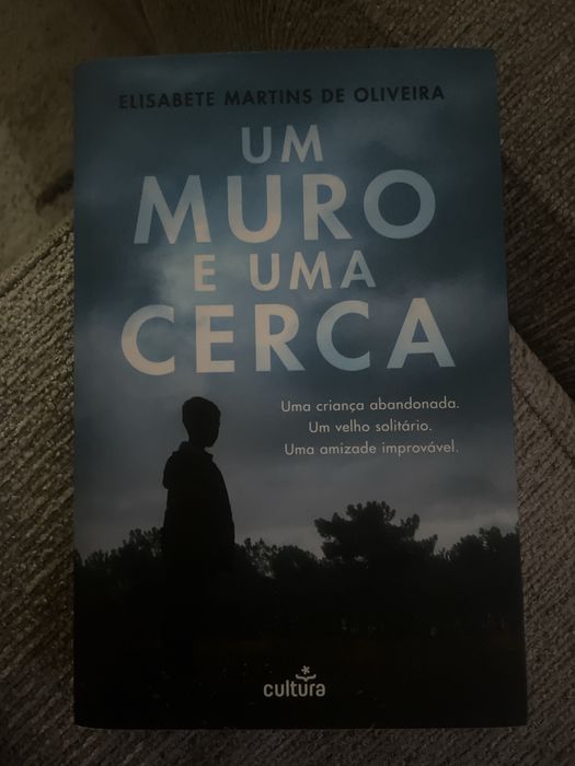 Um Muro e Uma Cerca de Elisabete Martins de Oliveira
