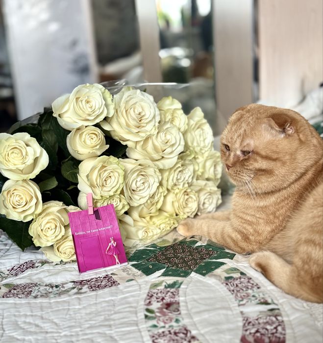 Кіт шукає свою прямовуху «Помпею»