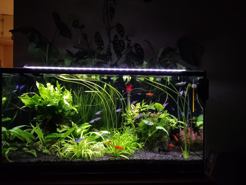 Akwarium 112l komplet + szafka