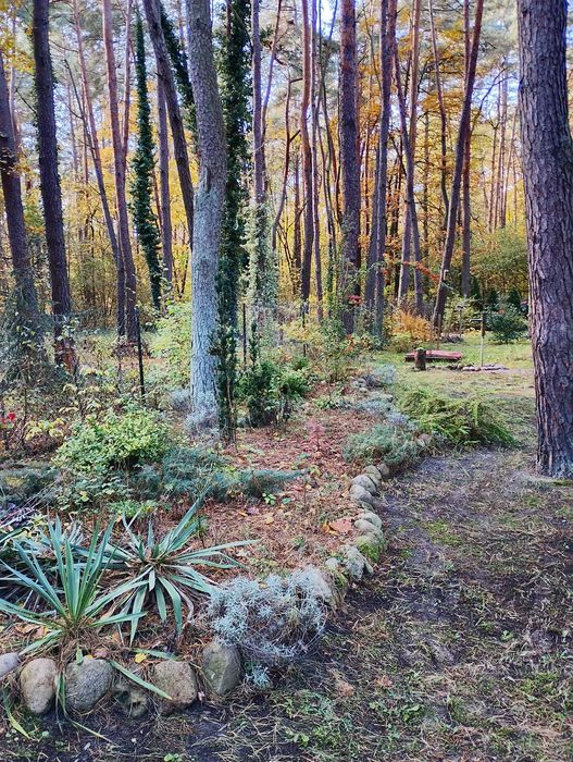 Piękną działkę nad Narwią sprzedam